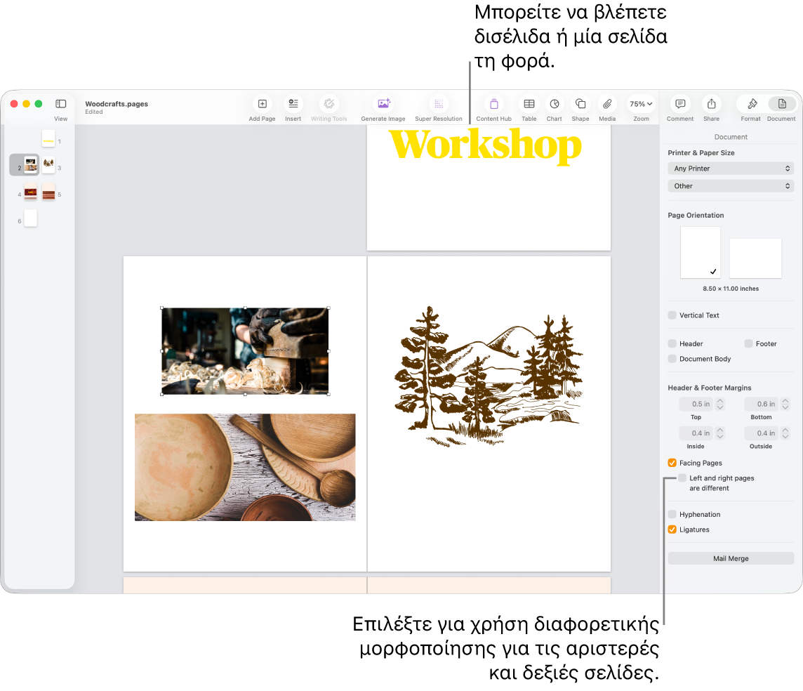 Το παράθυρο του Pages με μικρογραφίες σελίδων και σελίδες εγγράφου που προβάλλονται ως δισέλιδα. Στην πλαϊνή στήλη «Έγγραφο» στα δεξιά, το πλαίσιο επιλογής «Αριστερή/Δεξιά σελίδα διαφορετικές» είναι μη επιλεγμένο.
