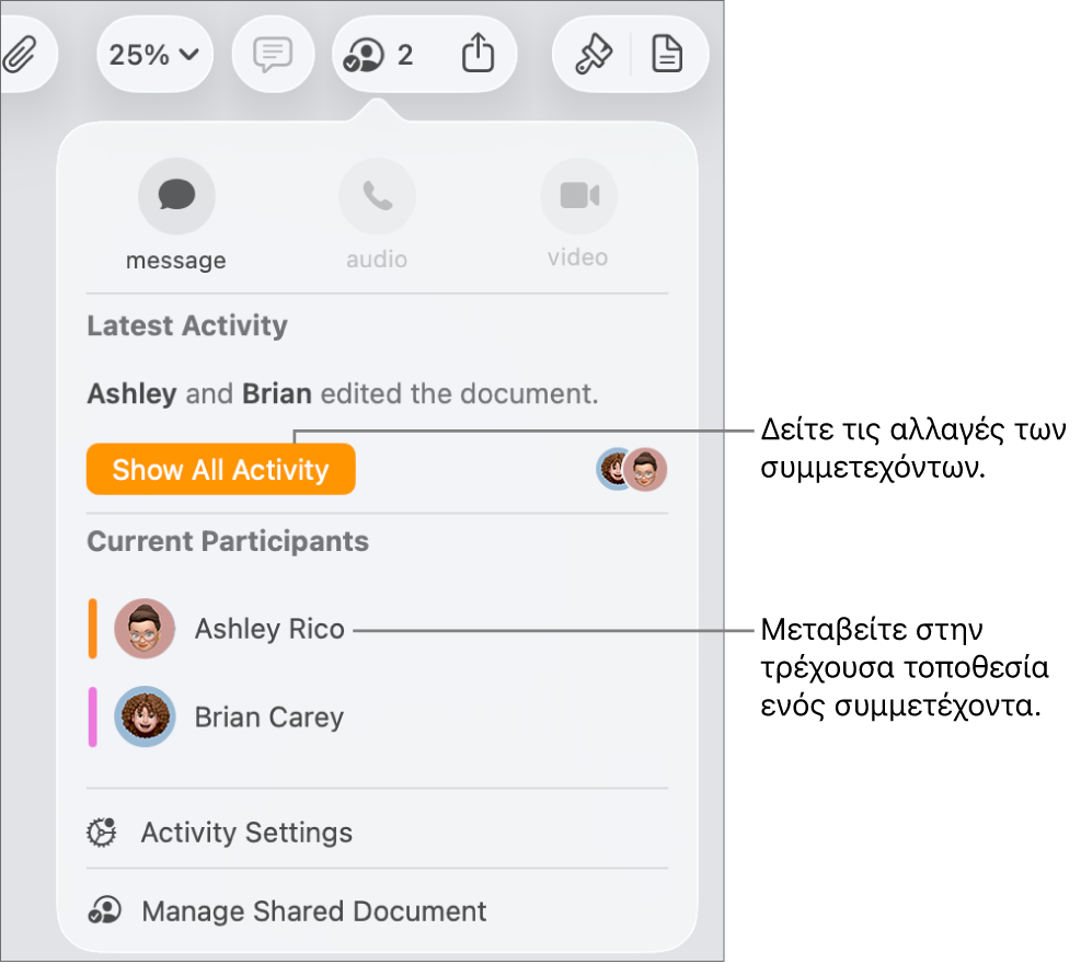 Το μενού συνεργασίας με δύο τρέχοντες συμμετέχοντες.