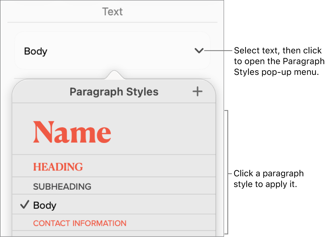 The Paragraph Styles menu.