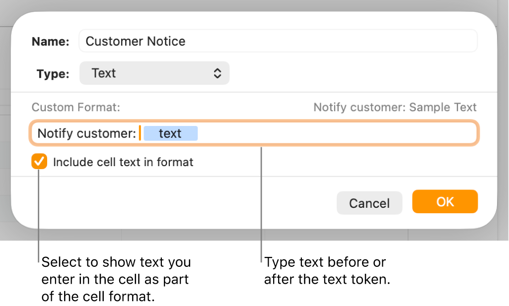The custom cell format window with controls for choosing custom text formatting.