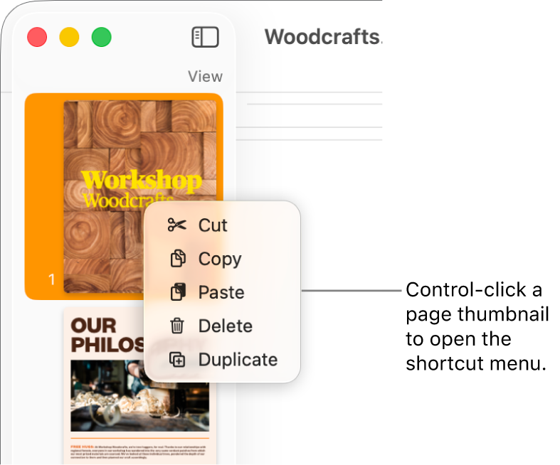 Page Thumbnails view with one thumbnail selected and the shortcut menu open.