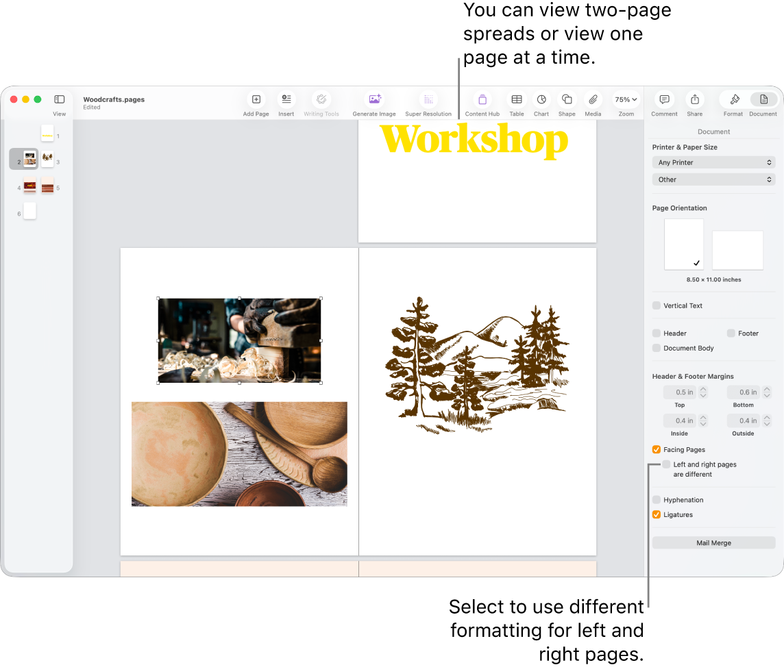 The Pages window with page thumbnails and document pages viewed as two-page spreads. In the Document sidebar on the right, the “Left and right pages are different” tick box is unselected.