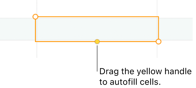 A selected cell with a yellow handle you can drag to auto fill cells.