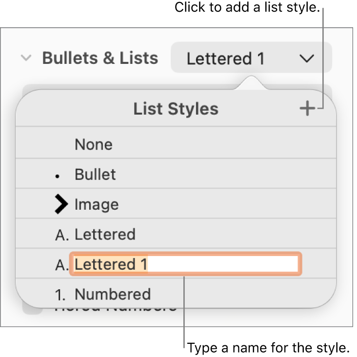 The List Styles pop-up menu with an Add button in the top-right corner and a placeholder style name with its text selected.