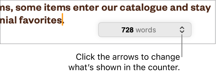The word count menu showing the number of words in the document.