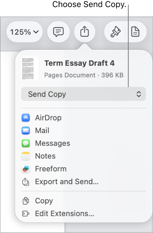 The Share menu with Send Copy selected at the top.
