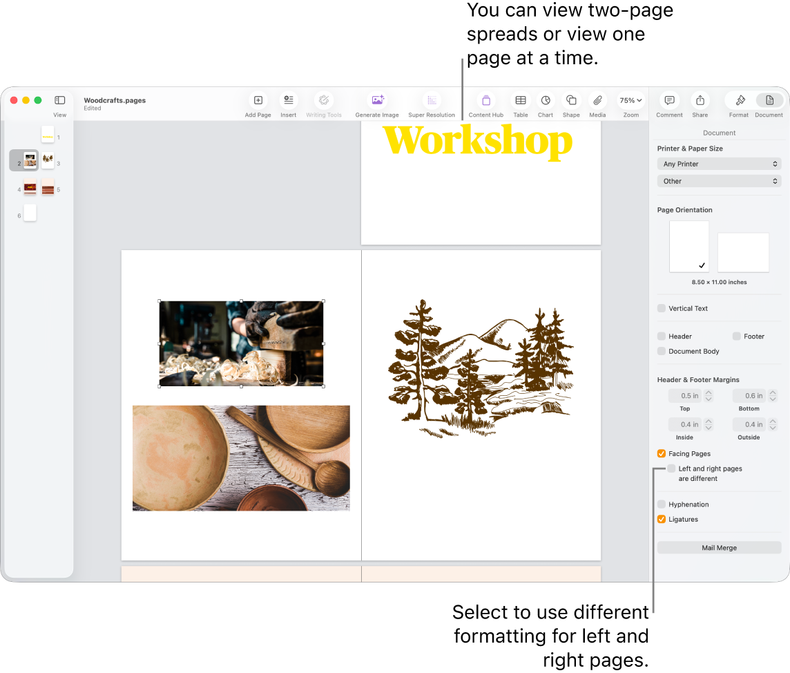 The Pages window with page thumbnails and document pages viewed as two-page spreads. In the Document sidebar on the right, the “Left and right pages are different” tickbox is unselected.
