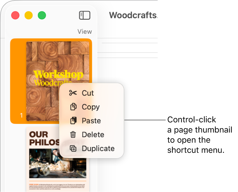 Page Thumbnails view with one thumbnail selected and the shortcut menu open.