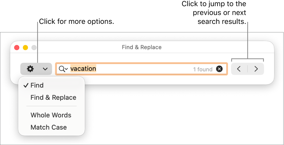 The Find & Replace window with the pop-up menu showing options for Find, Find & Replace, Whole Words and Match Case. The arrows on the right let you jump to the previous or next search results.