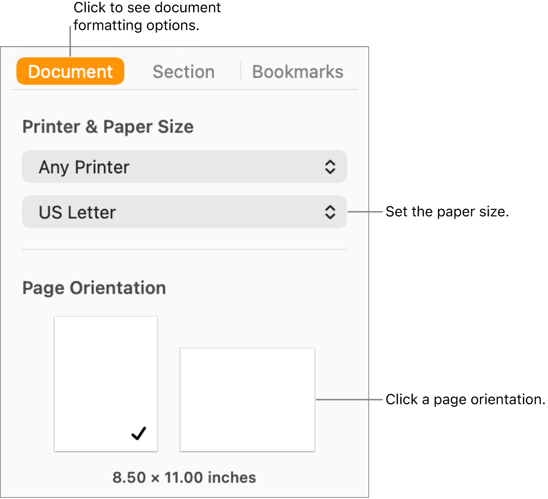 The Document sidebar with the Document tab at the top of the sidebar selected. In the sidebar are a pop-up menu to set paper size, and buttons for portrait and landscape page orientation.