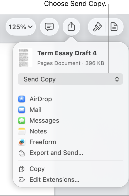 The Share menu with Send Copy selected at the top.