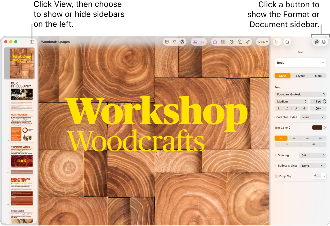 The Pages window with callouts to the View menu button and Format and Document buttons in the toolbar. Sidebars are open on the left and right.