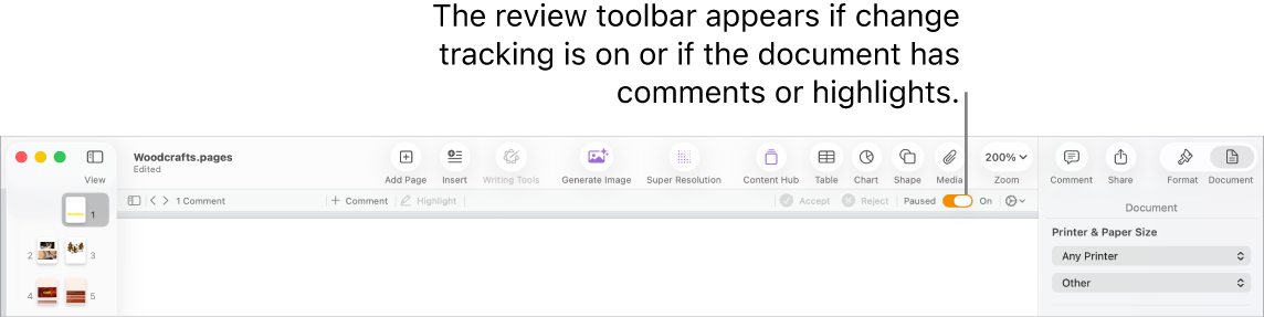 The Pages toolbar with change tracking turned on and the review toolbar below the Pages toolbar.