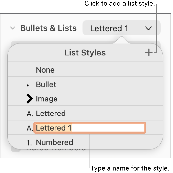 The List Styles pop-up menu with an Add button in the top-right corner and a placeholder style name with its text selected.