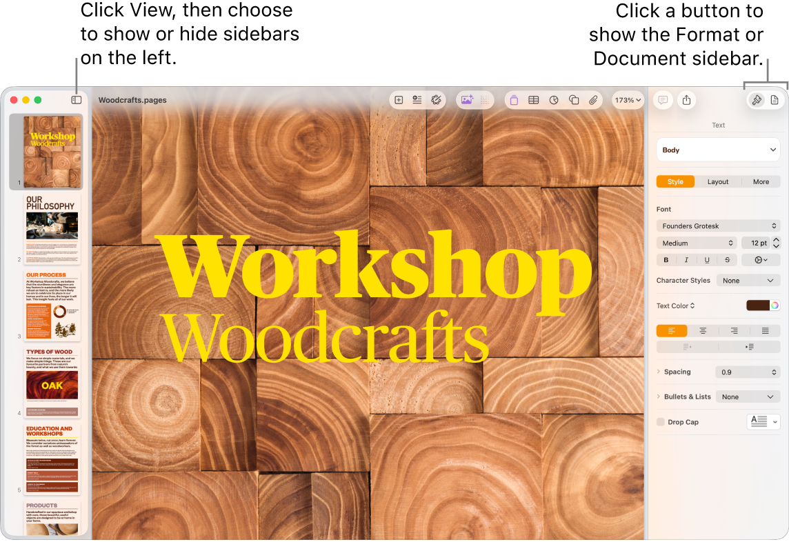 The Pages window with callouts to the View menu button and Format and Document buttons in the toolbar. Sidebars are open on the left and right.