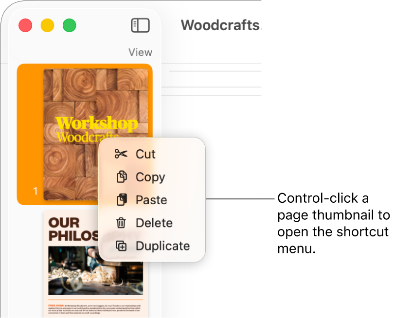 Page Thumbnails view with one thumbnail selected and the shortcut menu open.