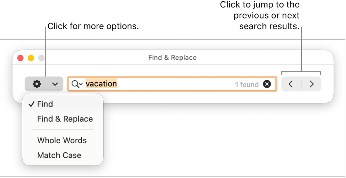 The Find & Replace window with the pop-up menu showing options for Find, Find & Replace, Whole Words, and Match Case. The arrows on the right let you jump to the previous or next search results.