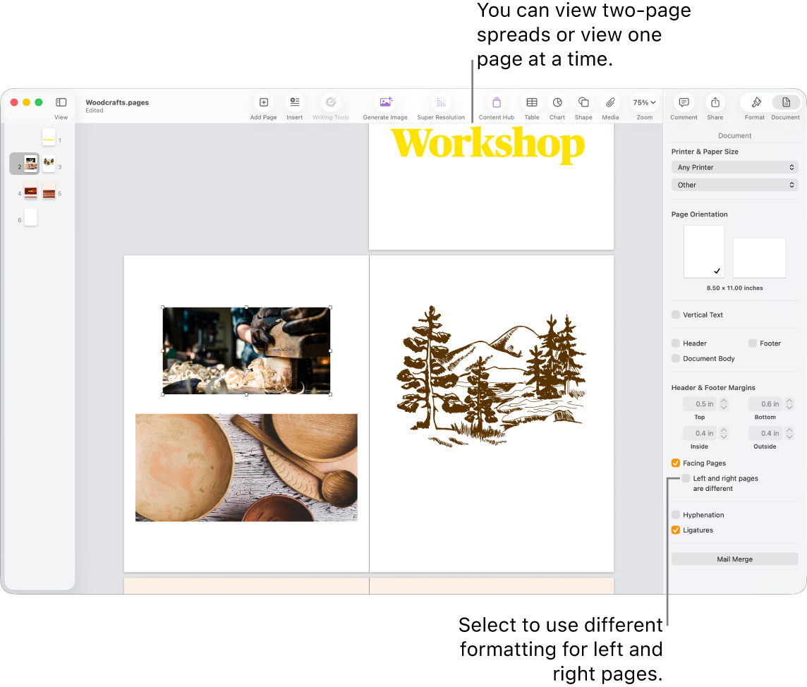 The Pages window with page thumbnails and document pages viewed as two-page spreads. In the Document sidebar on the right, the “Left and right pages are different” checkbox is unselected.