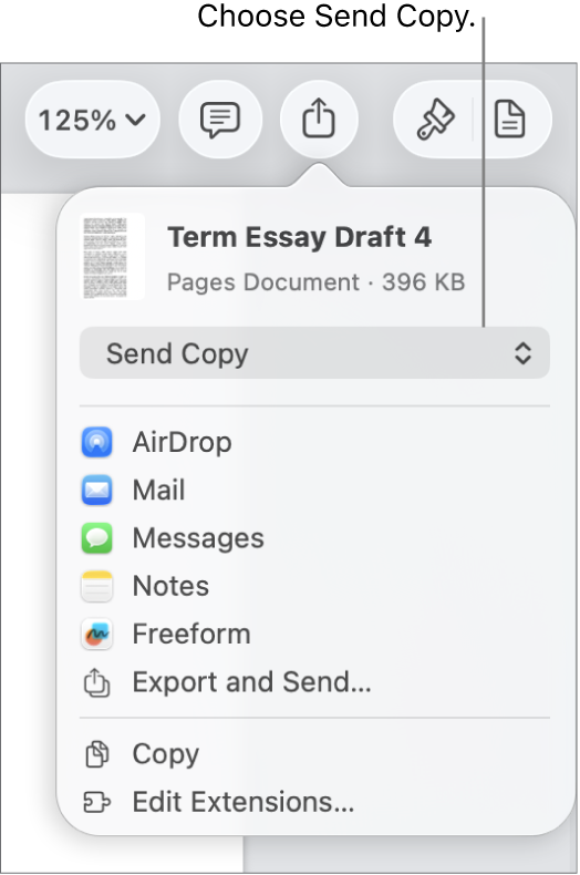The Share menu with Send Copy selected at the top.