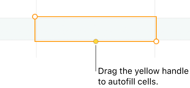 A selected cell with a yellow handle you can drag to autofill cells.