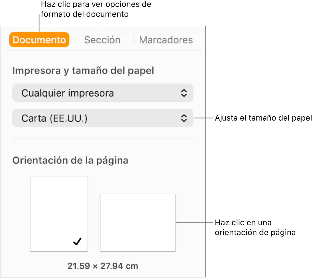 La barra lateral Documento con la pestaña Documento seleccionada en la parte superior de la barra lateral. En la barra lateral hay un menú desplegable para ajustar el tamaño del papel, y botones para la orientación de página vertical u horizontal.