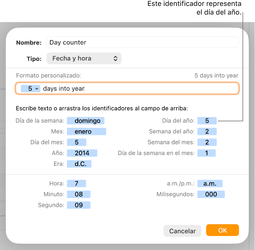 La ventana de formato de celda personalizado con controles para seleccionar formatos de fecha y hora personalizados.