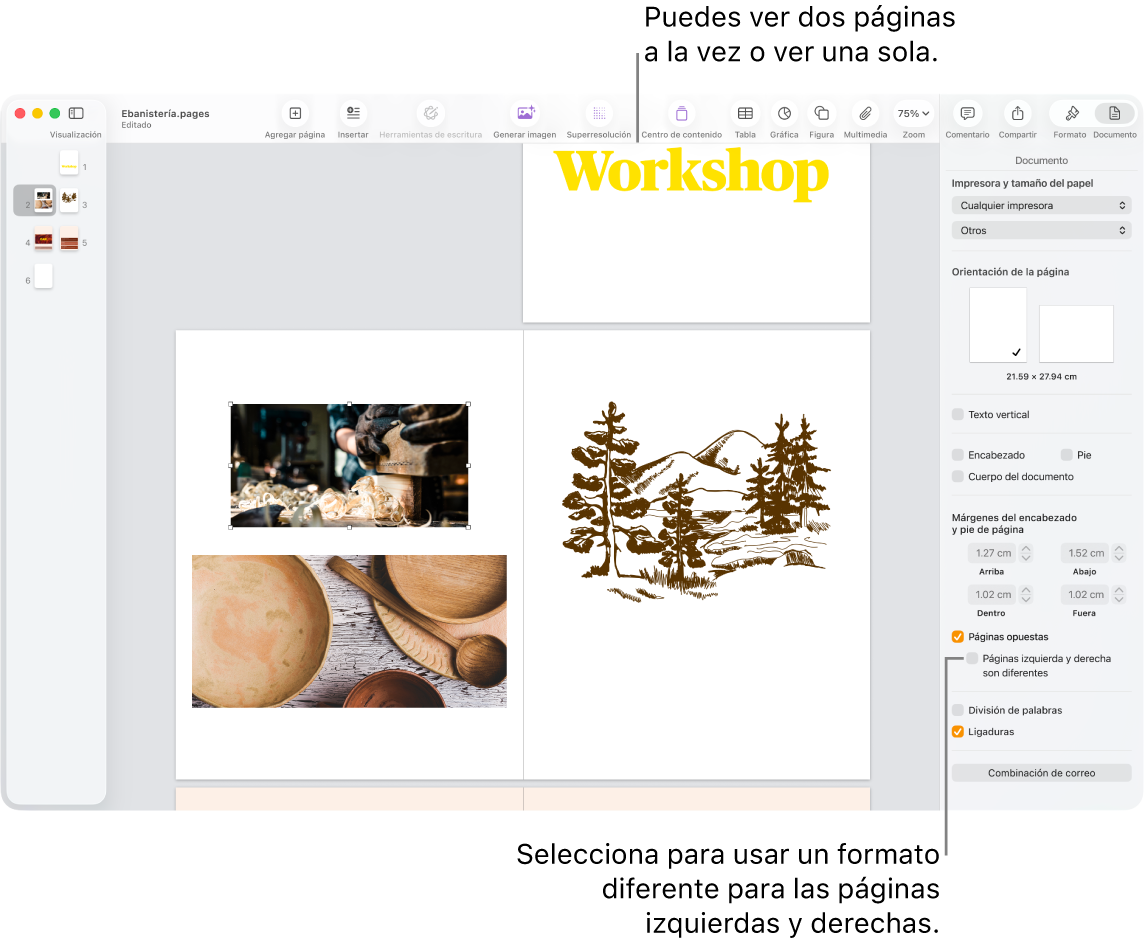 La ventana de Pages con las miniaturas de las páginas y las páginas del documento en visualización de dos páginas. La casilla Las páginas izquierda y derecha son distintas no está marcada en la barra lateral Documento que se encuentra la derecha.
