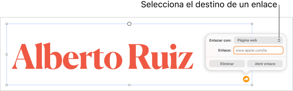 Los controles del editor de enlaces con la opción Página Web seleccionada, con el botón Eliminar y el botón Abrir enlace en la parte de abajo.