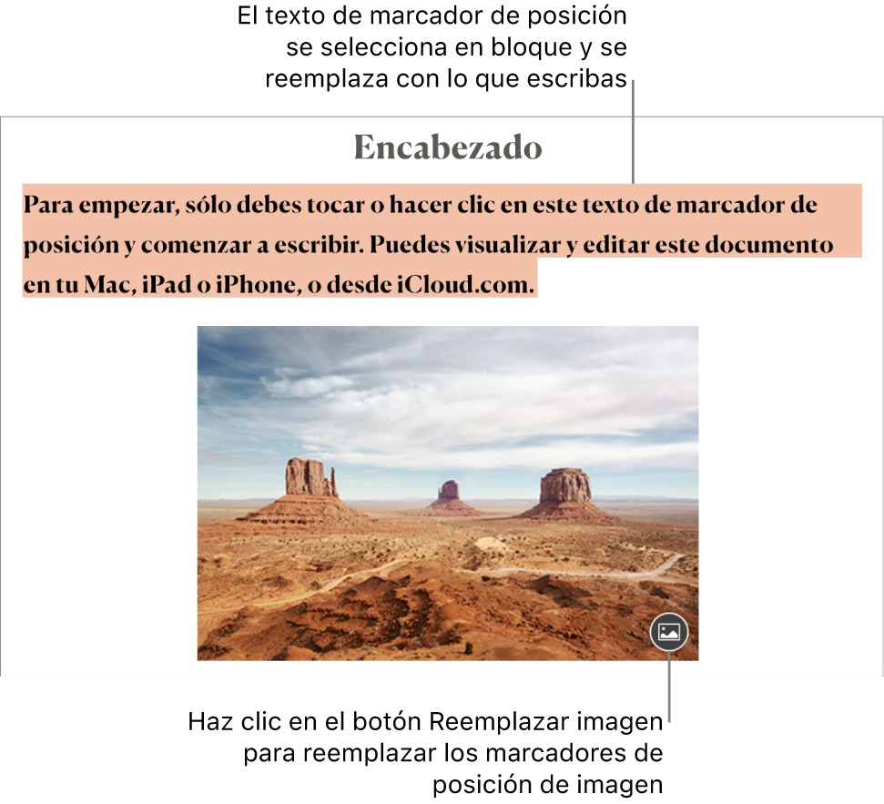 Texto e imágenes de marcador de posición.