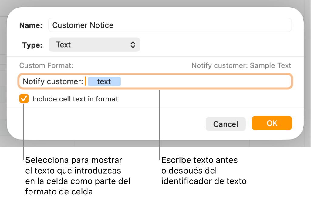 La ventana de formato de celda personalizado con controles para seleccionar formatos de texto personalizados.