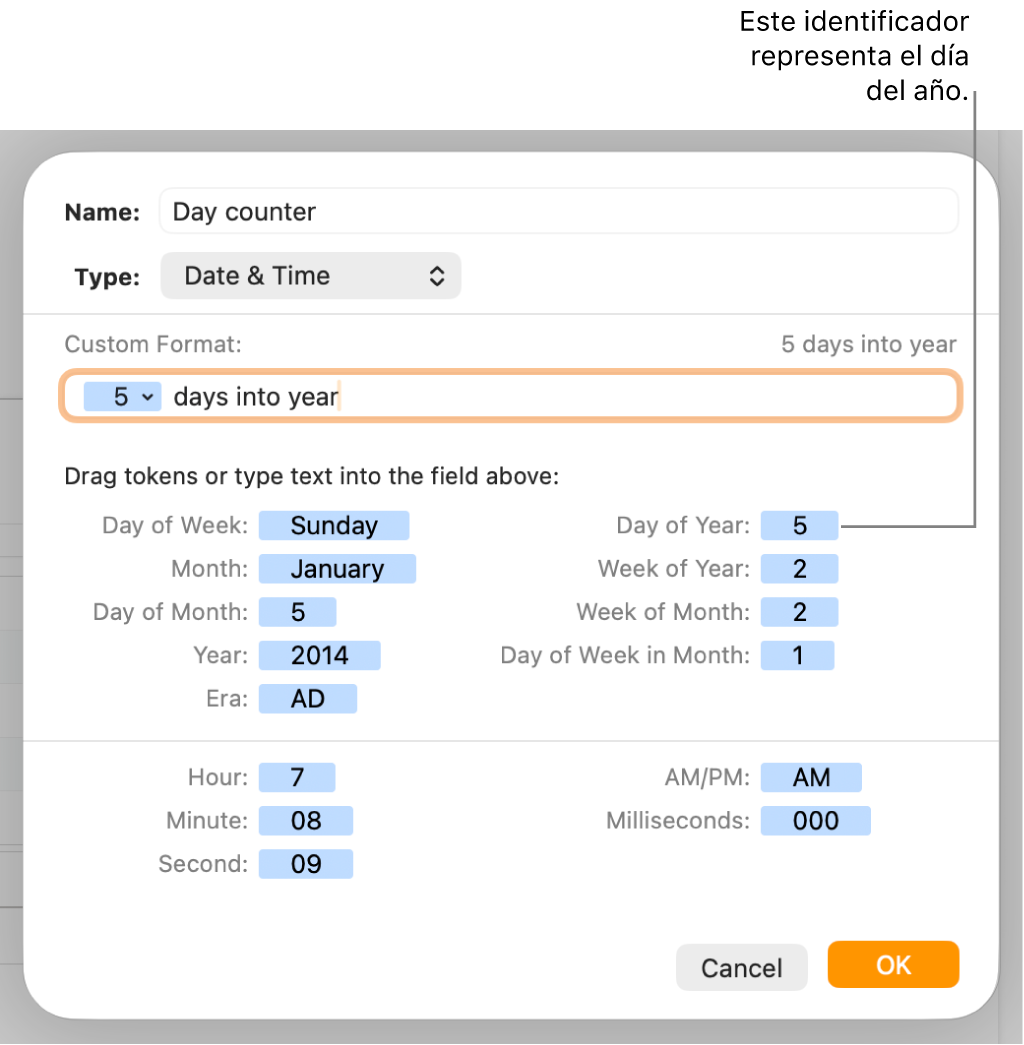 La ventana de formato de celda personalizado con controles para seleccionar formatos de fecha y hora personalizados.