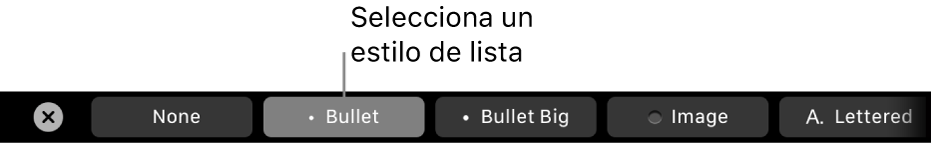 La Touch Bar del MacBook Pro con controles para elegir un estilo de lista.