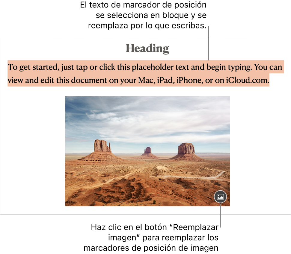 Texto e imágenes de marcador de posición.