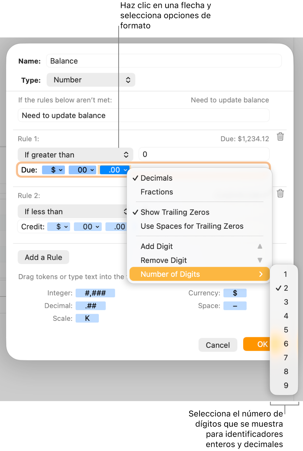La ventana de formato de celda personalizado con controles para seleccionar opciones de formato personalizadas.