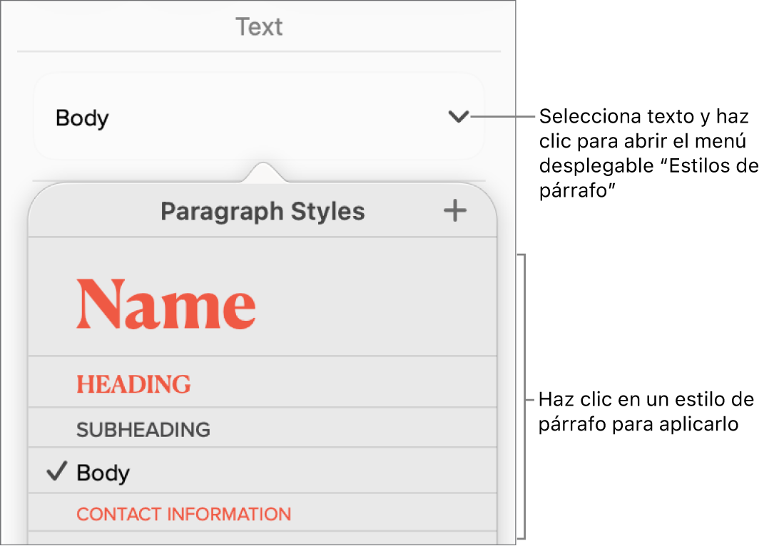 El menú “Estilos de párrafo”.