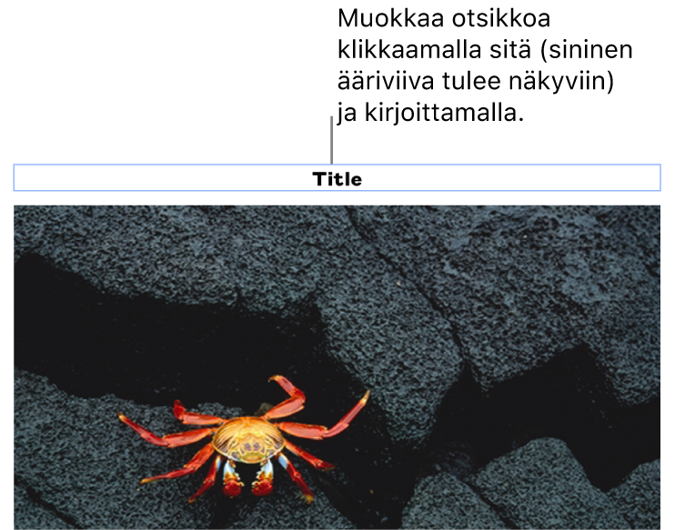 Paikanvaraajaotsikko ”Otsikko” näkyy kuvan alla, siniset ääriviivat otsikkokentän ympärillä osoittavat, että se on valittuna.