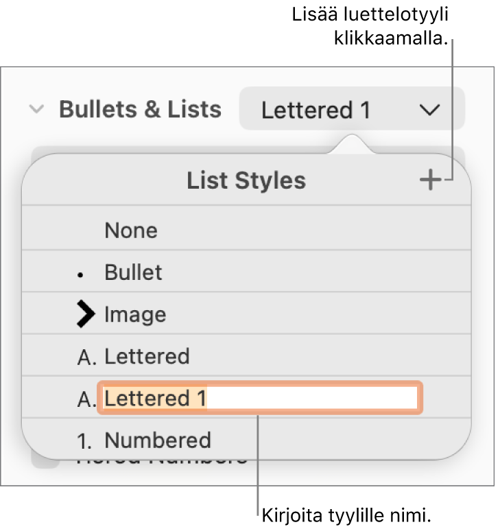 Luettelotyylit-ponnahdusvalikko, jossa oikeassa yläkulmassa on lisäyspainike ja paikanvaraajatyylin nimi, jonka teksti on valittuna.