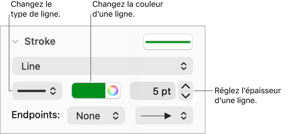 Les commandes de trait permettant de définir des extrémités, l’épaisseur du trait et sa couleur.