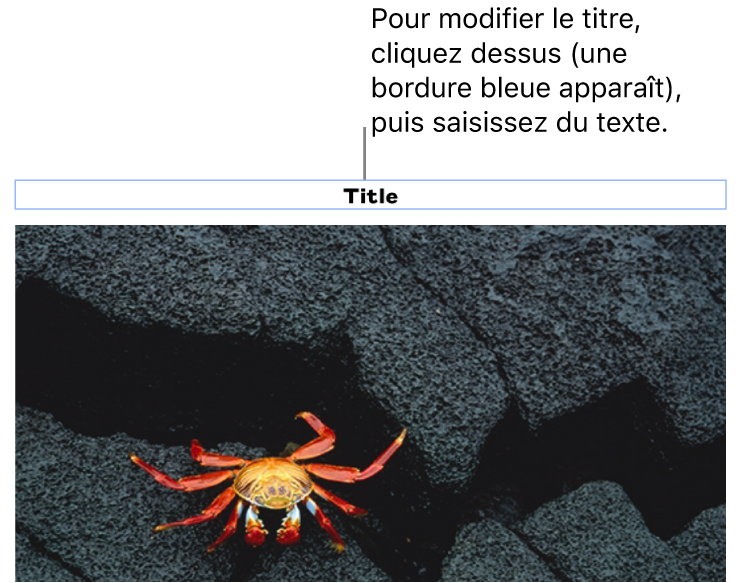 Le paramètre fictif de titre, « Titre », s’affiche sous une photo; un contour bleu autour du champ de titre indique qu’il est sélectionné.