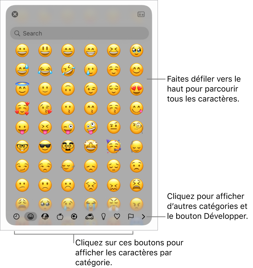 Le visualiseur de caractères affichant des émojis, les boutons des différentes catégories de symboles en bas de la fenêtre et un bouton pour afficher plus de catégories et le bouton Développer.
