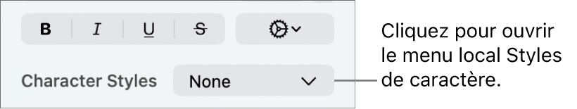 Menu contextuel Styles de caractère sous les commandes de modification de la couleur et du style de texte.