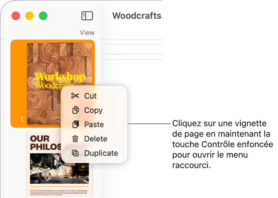 Présentation Vignettes de page avec une vignette sélectionnée et le menu contextuel ouvert.