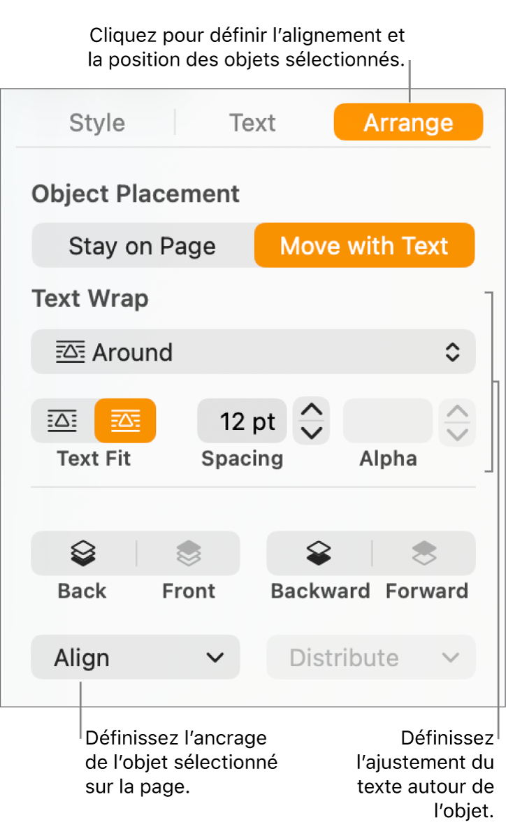 Le menu Format avec la barre latérale Disposition affichée. Les réglages Placement d’objet sont en haut de la barre latérale Disposition, au-dessus des réglages Ajustement du texte.