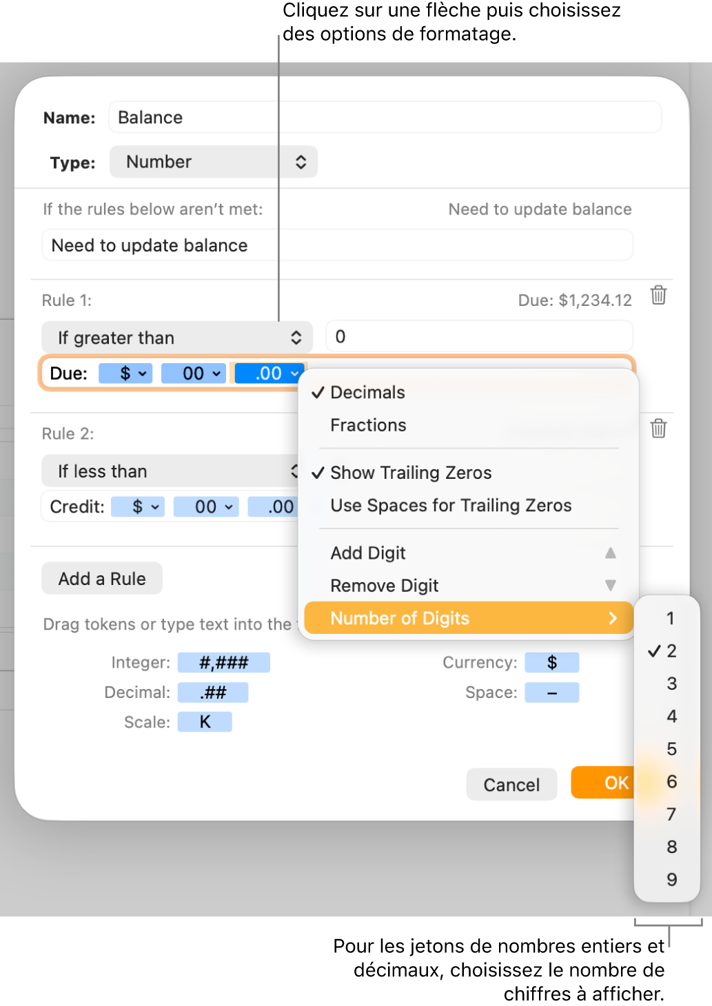 La fenêtre de format de cellule personnalisé présentant les commandes permettant de choisir des options de mise en forme personnalisée.