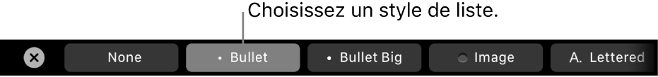 La Touch Bar du MacBook Pro avec les commandes pour choisir un style de liste.