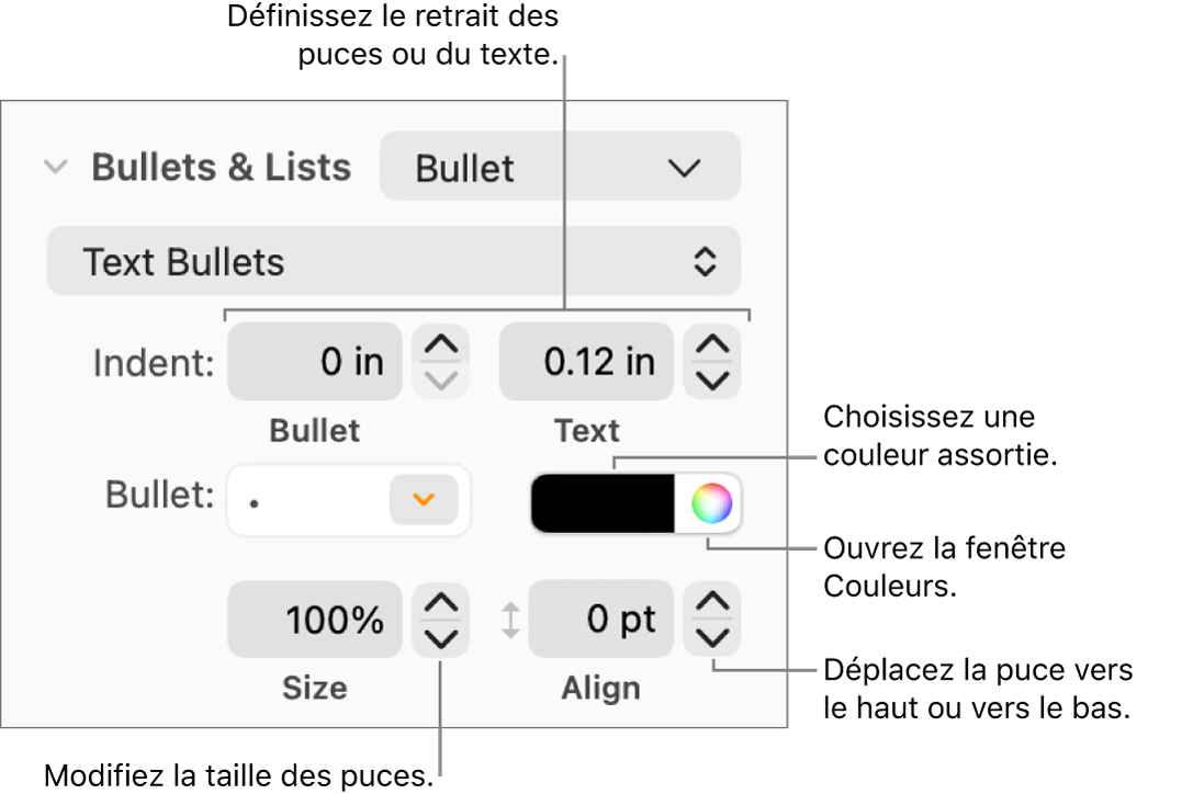 Section Puces et listes accompagnée des légendes des commandes pour le retrait des puces et du texte, la couleur des puces, leur taille et leur alignement.