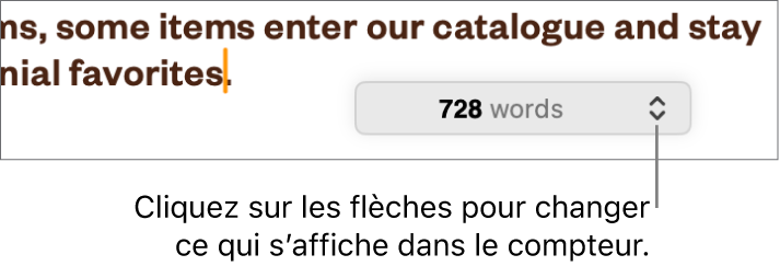 Menu indiquant le nombre de mots dans le document.