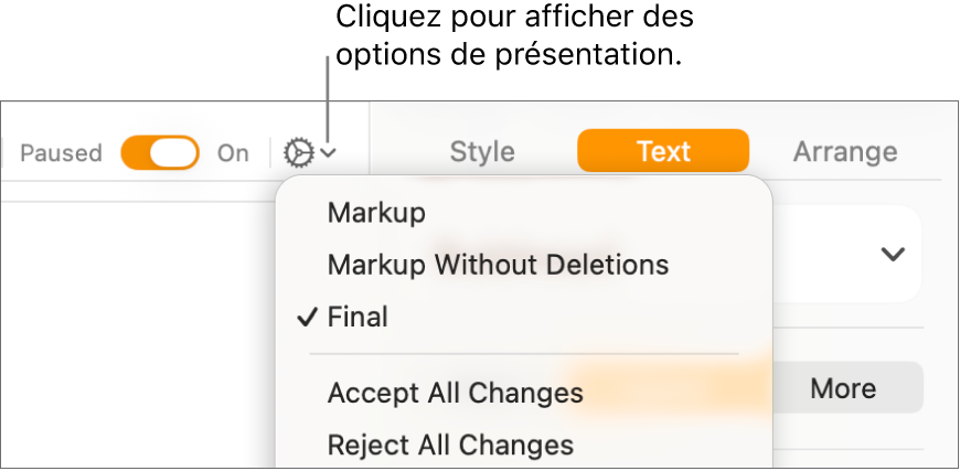 Le menu des options de révision, avec les options Marquage, Marquage sans afficher les suppr. et Version finale.