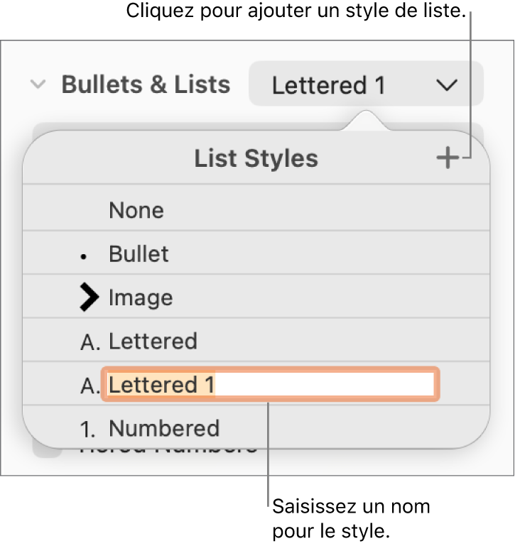 Menu contextuel Styles de liste avec un bouton Ajouter dans le coin supérieur et un nom de style de paramètre fictif dont le texte est sélectionné.
