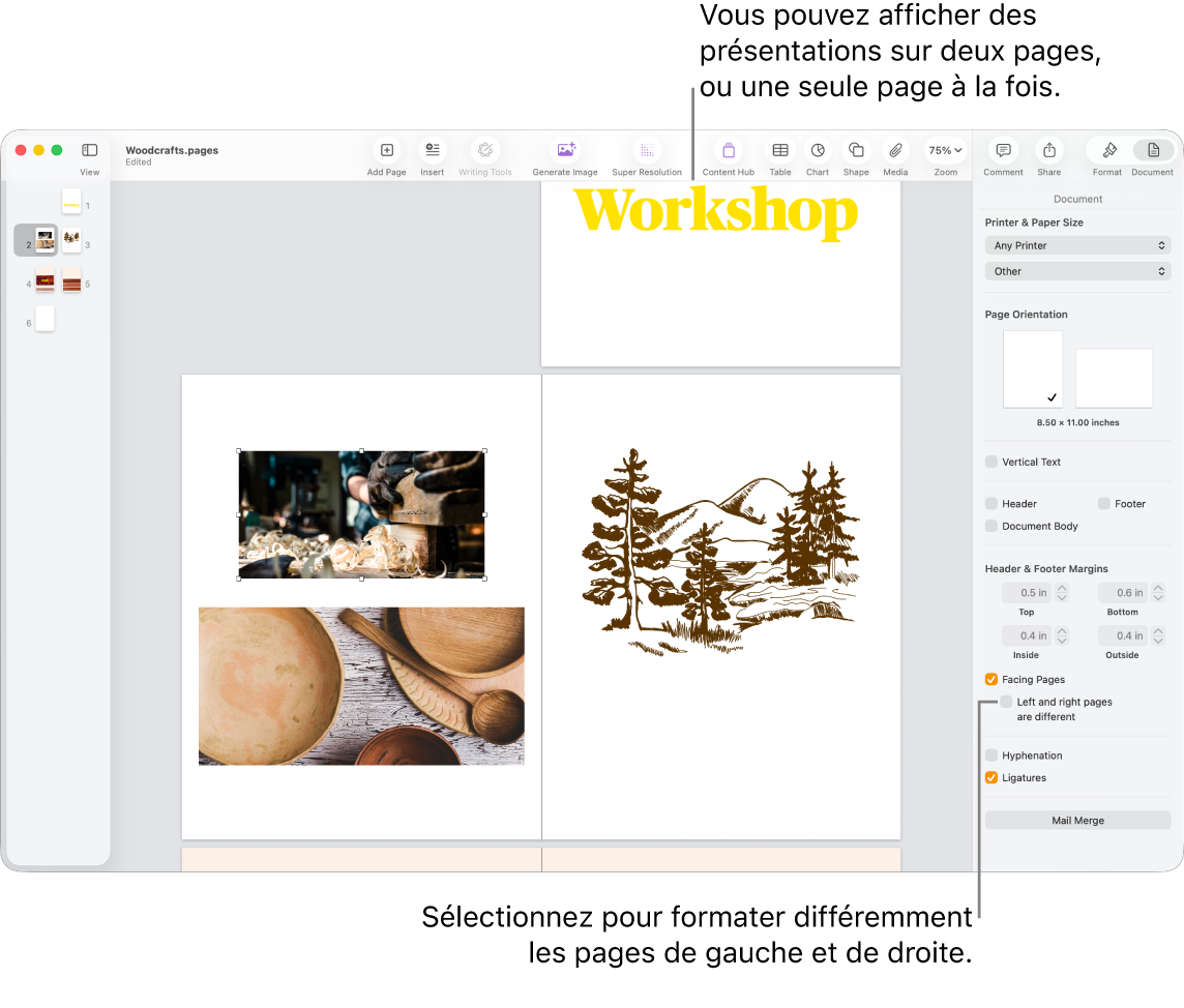 La fenêtre Pages avec les vignettes des pages et les pages du document affichées en présentation sur deux pages. Dans la barre latérale Document, à droite, la case « Pages gauche et droite différentes » n’est pas cochée.